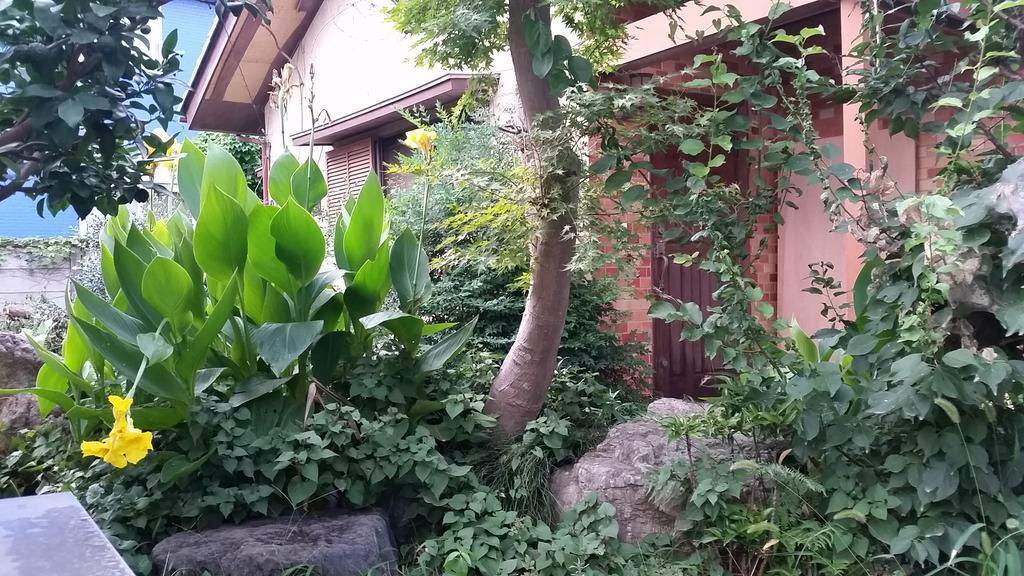 "Cherry House" Is Direct To Narita,Haneda Ap, Disney, Asakusa, Skytree Tower, Tokyo Matsudo Exterior foto