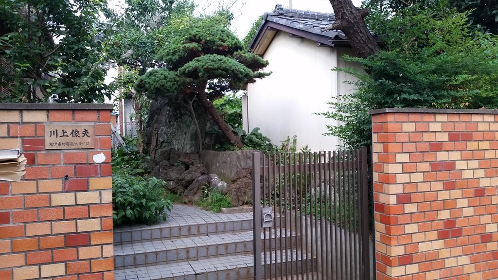 "Cherry House" Is Direct To Narita,Haneda Ap, Disney, Asakusa, Skytree Tower, Tokyo Matsudo Exterior foto