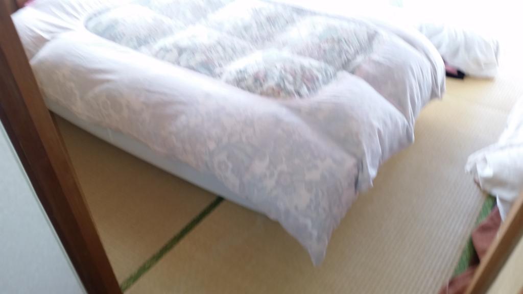 "Cherry House" Is Direct To Narita,Haneda Ap, Disney, Asakusa, Skytree Tower, Tokyo Matsudo Exterior foto