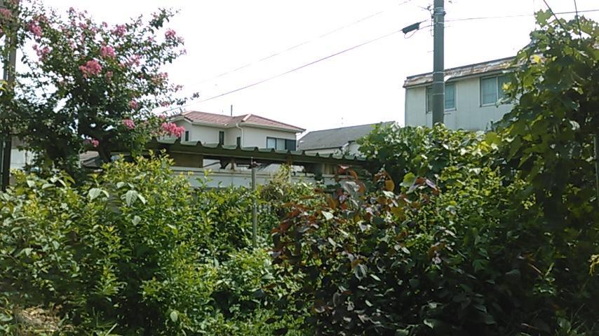 "Cherry House" Is Direct To Narita,Haneda Ap, Disney, Asakusa, Skytree Tower, Tokyo Matsudo Exterior foto