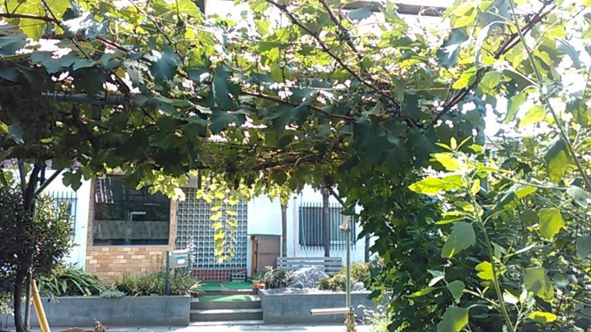 "Cherry House" Is Direct To Narita,Haneda Ap, Disney, Asakusa, Skytree Tower, Tokyo Matsudo Exterior foto